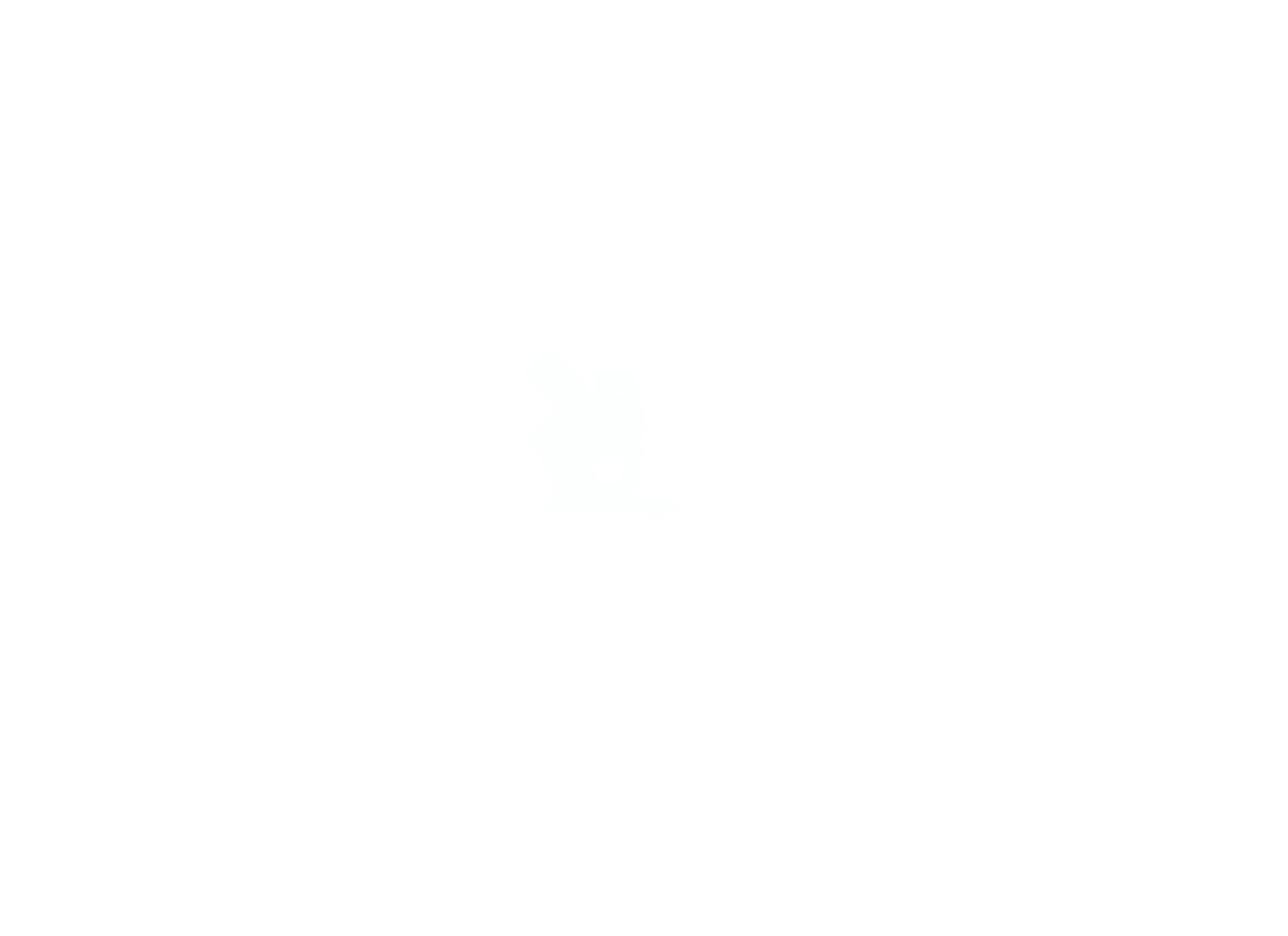 SKODA LOGO FINALNE STRONA 1